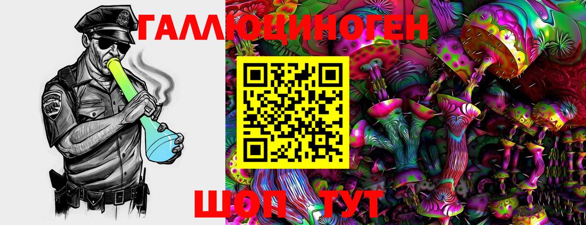 Псилоцибиновые грибы прущие грибы  Вход с VPN  Псилоцибиновые грибы Cubensis  Курчалой 